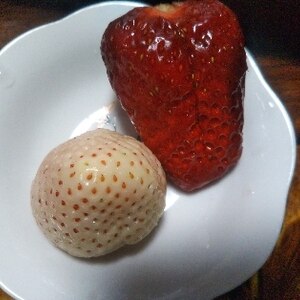 苺の保存方法